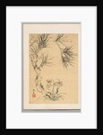 Pine Tree and Fungus, 19th century by Tsubaki Chinzan