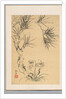 Pine Tree and Fungus, 19th century by Tsubaki Chinzan