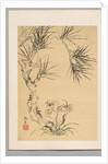 Pine Tree and Fungus, 19th century by Tsubaki Chinzan