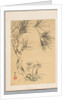 Pine Tree and Fungus, 19th century by Tsubaki Chinzan