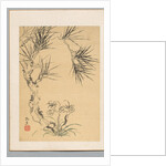 Pine Tree and Fungus, 19th century by Tsubaki Chinzan