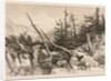 Pine Trees and Bridge, 1841 by James Duffield Harding