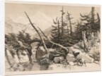 Pine Trees and Bridge, 1841 by James Duffield Harding