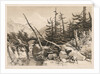 Pine Trees and Bridge, 1841 by James Duffield Harding