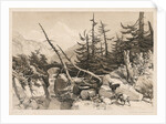 Pine Trees and Bridge, 1841 by James Duffield Harding