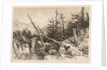 Pine Trees and Bridge, 1841 by James Duffield Harding