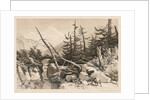 Pine Trees and Bridge, 1841 by James Duffield Harding