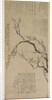 Plum Blossoms, 1747 by Wang Shishen