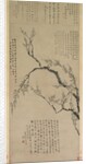Plum Blossoms, 1747 by Wang Shishen