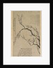 Plum Blossoms, 1747 by Wang Shishen