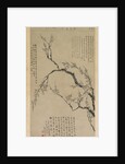 Plum Blossoms, 1747 by Wang Shishen