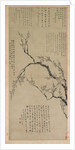 Plum Blossoms, 1747 by Wang Shishen