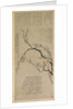 Plum Blossoms, 1747 by Wang Shishen