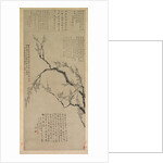 Plum Blossoms, 1747 by Wang Shishen
