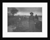 Poling the Marsh Hay, 1886 by Peter Henry Emerson; Sampson Low