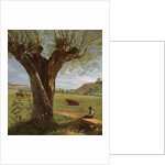 Pollard Willow, after 1804 by Pierre Jean Boquet