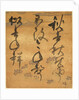 Portion of a Poetry Anthology: Cicada, from 'Shinsen Roeishu', late 16th-early 17th century by Konoe Nobutada