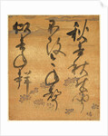 Portion of a Poetry Anthology: Cicada, from 'Shinsen Roeishu', late 16th-early 17th century by Konoe Nobutada
