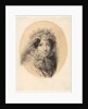 Portrait of a Lady, 1767-1855 by Jean-Baptiste Isabey