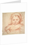 Portrait of an Infant, 1800s-1900s by Henri Cros