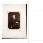 Portrait of Victor Hugo on Guernsey, 1862 by Edmond Bacot