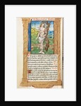 Printed Book of Hours: fol. 102v, St. Sebastian, 1510 by Guillaume Le Rouge