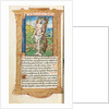 Printed Book of Hours: fol. 102v, St. Sebastian, 1510 by Guillaume Le Rouge
