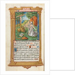 Printed Book of Hours: fol. 107v, St. Jerome and the Lion, 1510 by Guillaume Le Rouge