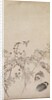 Puppies, Sparrows and Chrysanthemums, 1754-1799 by Nagasawa Rosetsu