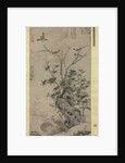 Quails and Sparrows in an Autumn Scene, 1347 by Wang Yuan