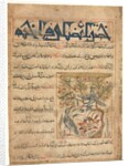 Qualities of Ringdoves from a Manafi al-Hayawan?, c. 1300 by Unknown