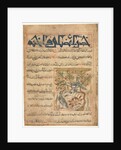 Qualities of Ringdoves from a Manafi al-Hayawan?, c. 1300 by Unknown