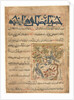 Qualities of Ringdoves from a Manafi al-Hayawan?, c. 1300 by Unknown