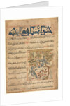Qualities of Ringdoves from a Manafi al-Hayawan?, c. 1300 by Unknown