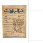 Qualities of Ringdoves from a Manafi al-Hayawan?, c. 1300 by Unknown