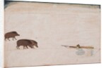 Raja Ram Chand of Amber ? hunting wild boar, c. 1670 by Unknown