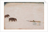 Raja Ram Chand of Amber ? hunting wild boar, c. 1670 by Unknown