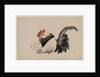 Rooster, Hen, and Chicks, c. 1880s by Shibata Zeshin