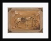 Saddled Arabian Horse in Courtyard, 1820 by Carle Vernet