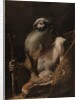 Saint Paul the Hermit, c. 1662-1664 by Mattia Preti
