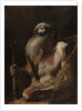Saint Paul the Hermit, c. 1662-1664 by Mattia Preti