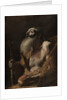 Saint Paul the Hermit, c. 1662-1664 by Mattia Preti