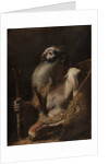 Saint Paul the Hermit, c. 1662-1664 by Mattia Preti
