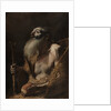 Saint Paul the Hermit, c. 1662-1664 by Mattia Preti
