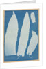 Scolopendrium Vulgare, 1852-1854 by Anna Atkins