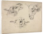 Sheep Heads, second or third quarter 1800s by Wouter Verschuur