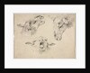 Sheep Heads, second or third quarter 1800s by Wouter Verschuur