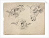 Sheep Heads, second or third quarter 1800s by Wouter Verschuur