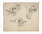Sheep Heads, second or third quarter 1800s by Wouter Verschuur