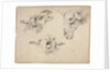 Sheep Heads, second or third quarter 1800s by Wouter Verschuur